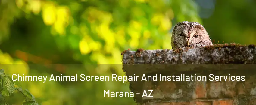 Chimney Animal Screen Repair And Installation Services Marana - AZ