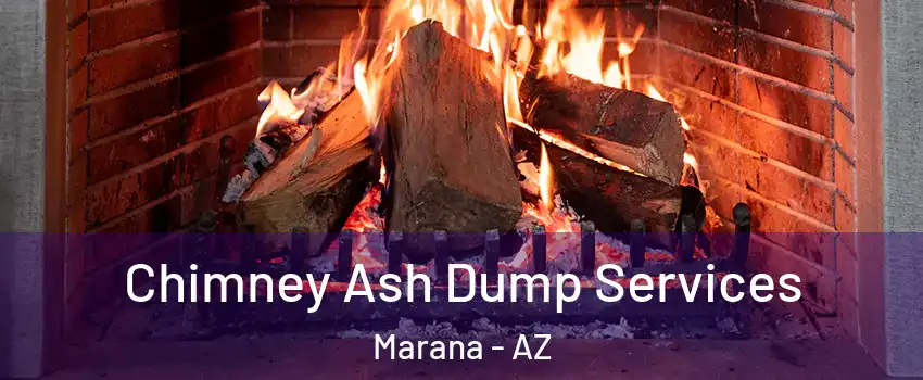  Chimney Ash Dump Services Marana - AZ