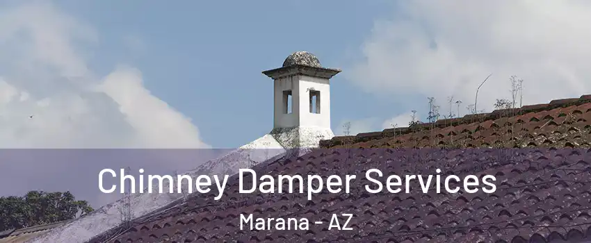  Chimney Damper Services Marana - AZ