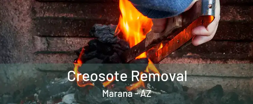  Creosote Removal Marana - AZ