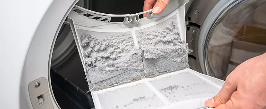 Best Dryer Lint Removal Company in Marana, Arizona
