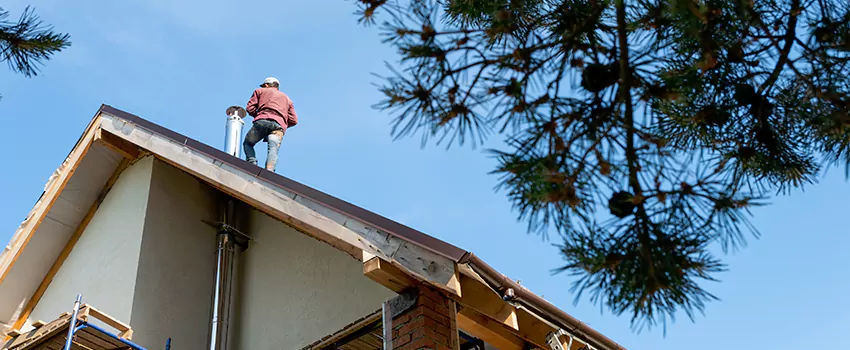 Birds Removal Contractors from Chimney in Marana, AZ