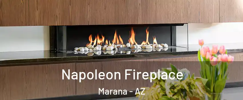  Napoleon Fireplace Marana - AZ